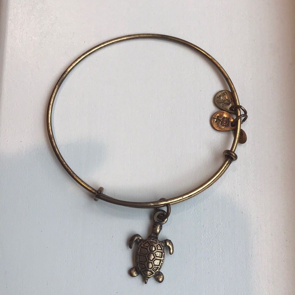 Alex and Ani Gold Sea Turtle Charm Bangle